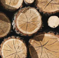 TallWood_Acoustic CLT MPP Report_FINAL